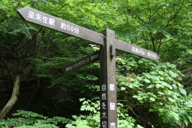 高川山